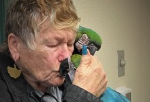 SBCAS Releases 2022 Annual Report