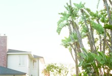 The Immediacy of a sketch workshop by  Sandra Vlock