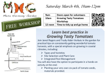 MHG Learn Best Practices in Growing Tasty Tomatoes