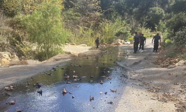 Santa Barbara County Funds Toro Canyon Creek Cleanup and Maintenance to Tune of $650K