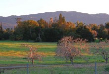 Caught Between the Proverbial Rock and Hard Place