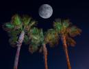 The Home Page | Full Moon Frenzy and Ladies Who Lunch