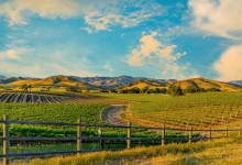 Santa Barbara County Wineries & Related Businesses Provide $1.7 Billion in Annual Economic Activity Per New Report