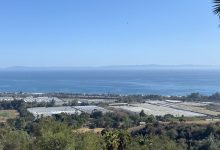 Santa Barbara County Projects $10.5 Million Shortfall in Cannabis Tax Revenue