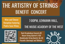 Artistry of Strings – SB Strings Benefit Concert