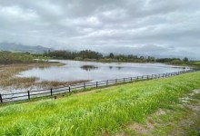 Lake Los Carneros Full for First Time in Over Ten Years