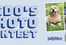 Fido’s Photo Contest