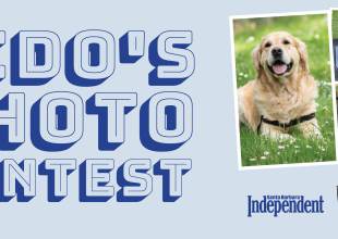Fido’s Photo Contest