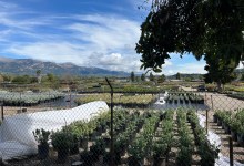 Good Planning Matters