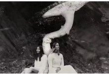 ON Culture | Calling all Poets, Mushroom People, and Charlie and the Chocolate Factory Fans