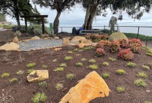 Torii Gate Garden Restoration Completed at Shoreline Park