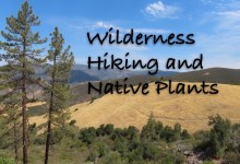 Wilderness Hiking and Native Plants