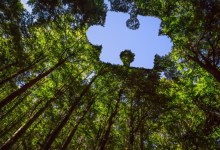 UC Santa Barbara Receives $1 Million to Develop Climate Action Capacity