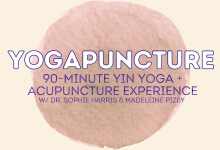 Yogapuncture: Yin Yoga & Acupuncture