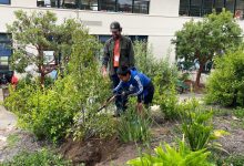 City Forestry Program Celebrates Arbor Day at Local Schools