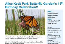Alice Keck Park Butterfly Garden’s 15th Birthday!