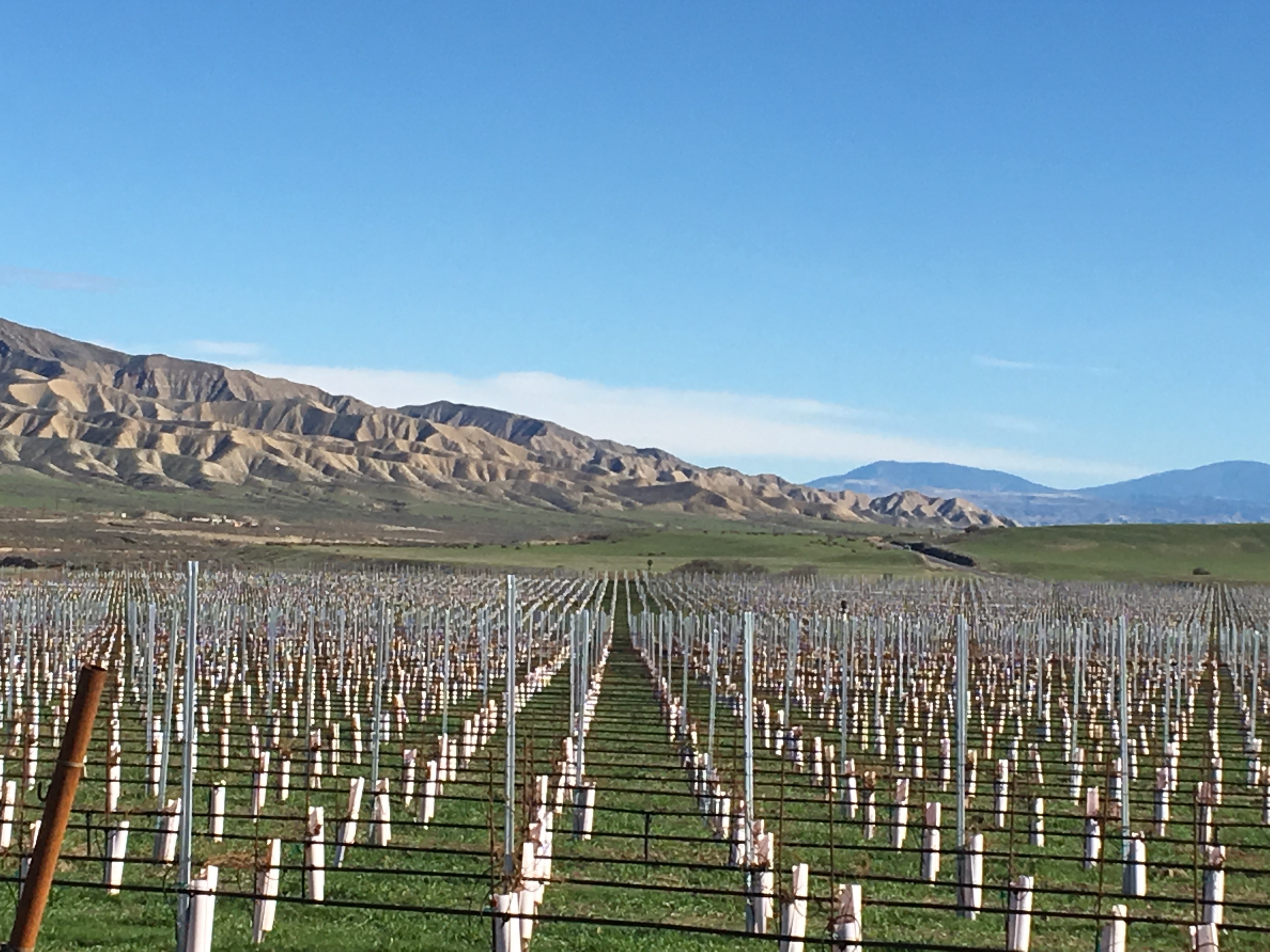 Santa Barbara County Planners Deflect a Cuyama Valley ‘Water Grab’ by ...