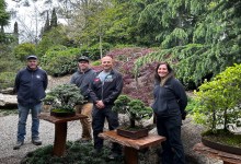 Small Trees, Big Rewards: Bonsai at Lotusland