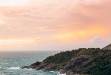 Ocean’s Garden with Kelpful