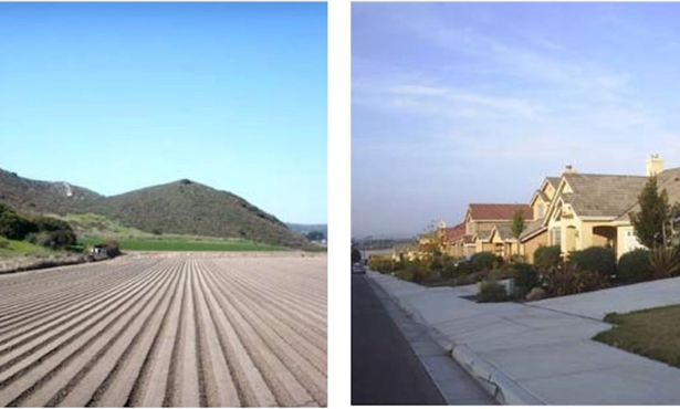 Lompoc’s Request to Build on Prime Ag Land Along Bailey Avenue Denied