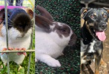 Caden, Keeley and Gus