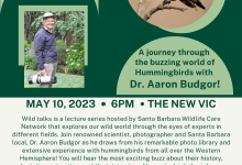 Wild Talks Featuring Dr. Aaron Budgor