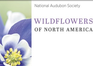 Review | ‘Wildflowers of North America’ by the National Audubon Society