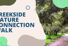 Creekside Nature Connection Walk