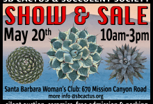 SB Cactus and Succulent Society Show & Sale