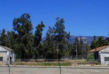 Save the Original Hangars!