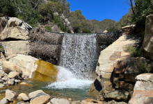 Time to Take Down the Ring Nets