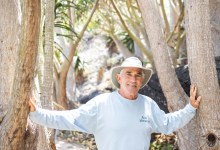 Down the Rabbit Hole at Aloes in Wonderland