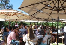 Compassionate Care of Carpinteria hosts its 5th Annual The Light Shines Ahead Luncheon to Celebrate Life and Inspire Light After Darkness