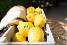 Goleta-Based Apeel and Ventura County’s Limoneira Sign Exclusive Deal