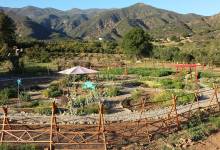 Earth Island Medicinal Herb Garden Workshop