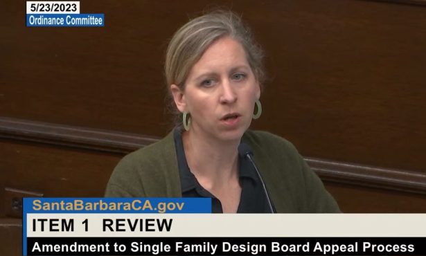 Too Many Appeals: City to Rethink Process for Single Family Design Board
