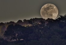 Full Moon Sunset Nature Hike in Ojai