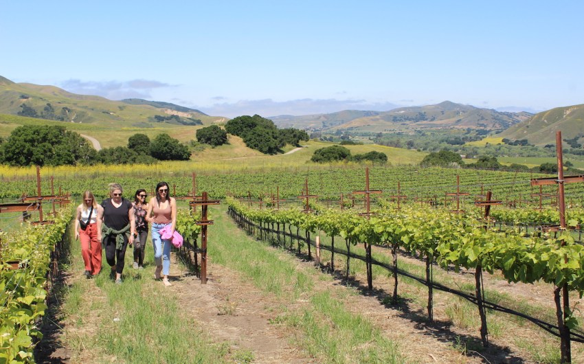 Walk with Alma Rosa Winery for a Good Cause This Summer