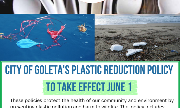 REMINDER: Plastic Reduction Regulations Begin Tomorrow, June 1