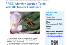 Free Monthly Garden Talk – Supporting Pollinators