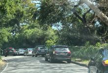 Montecito Hot Springs Rocks and Plants Win Again, for Now