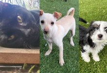 Chris, Logan and Charlie