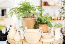 Domecíl Is Where House Becomes Home