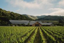 Behind the Scenes of Santa Barbara Wines