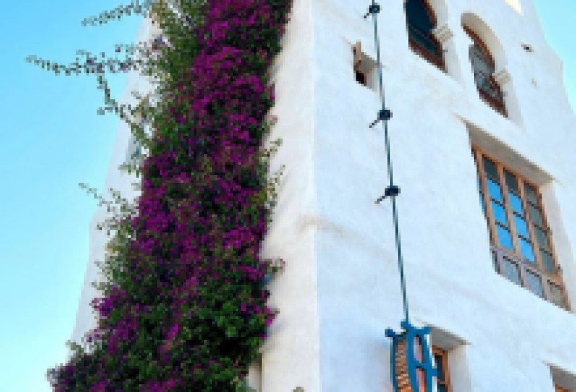 Happy Homes and Peppy Pups