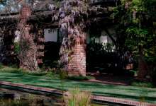 Rooted in Nature: Breathwork and Sound Alchemy