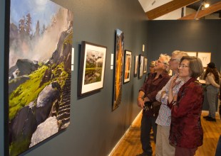 Solvang’s Wildling Museum Accepting Art Competition Submissions