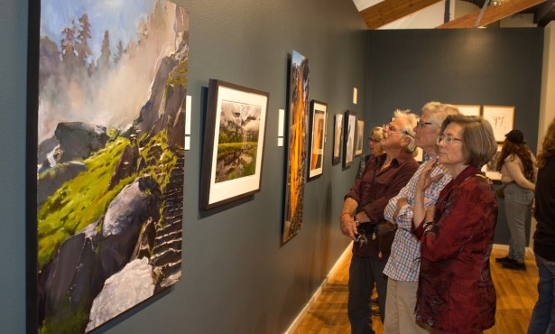 Solvang’s Wildling Museum Accepting Art Competition Submissions