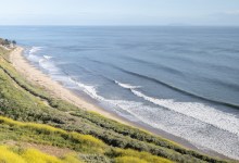 The Season for Getting Wet & Wild