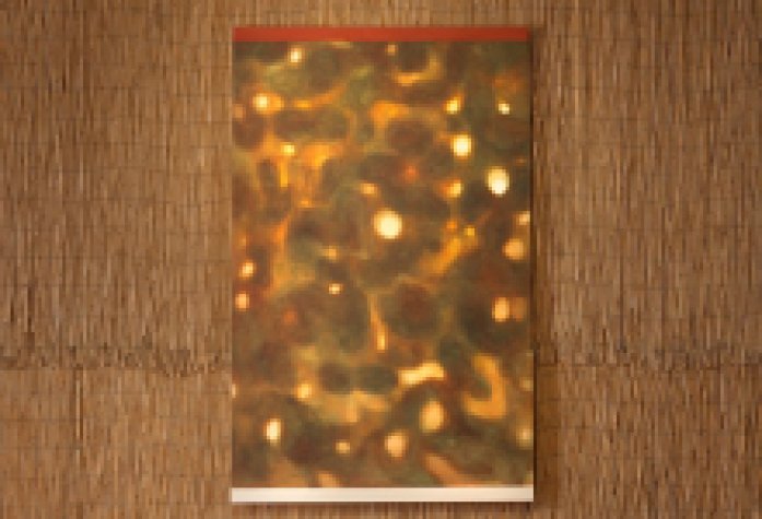 ‘Windward’ Exhibit in Santa Barbara Funk Zone Blurs Lines